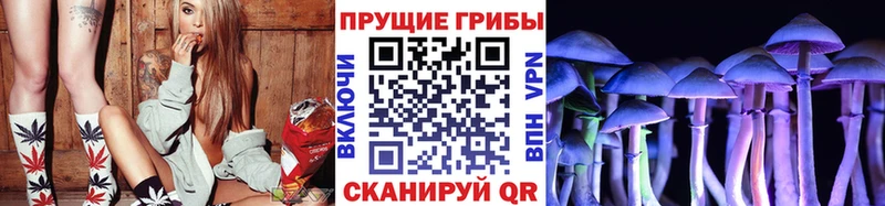 Псилоцибиновые грибы Psilocybe дарнет шоп Биробиджан